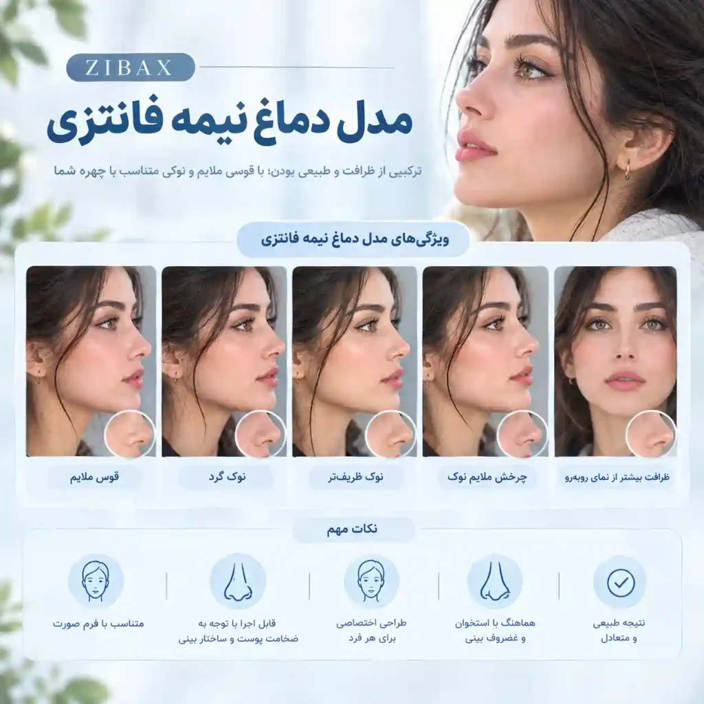 مدل دماغ نیمه فانتزی