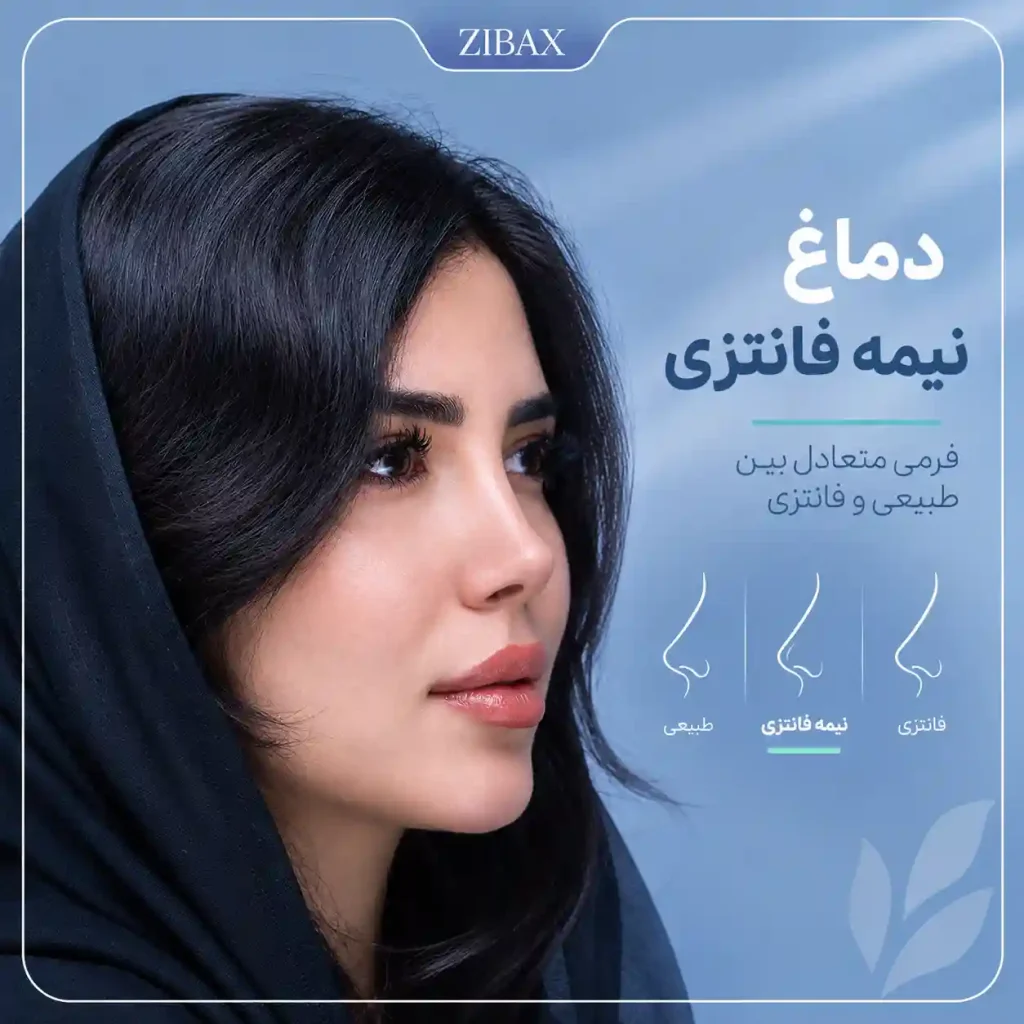 دماغ نیمه فانتزی