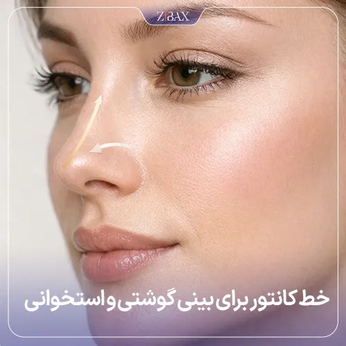 خط کانتور برای عمل بینی‌های گوشتی و استخوانی